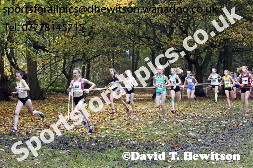 Girls under-15s, National Cross Country Relays, Berry Park, Mansfield. Photo: David T. Hewitson/Sports for All Pics